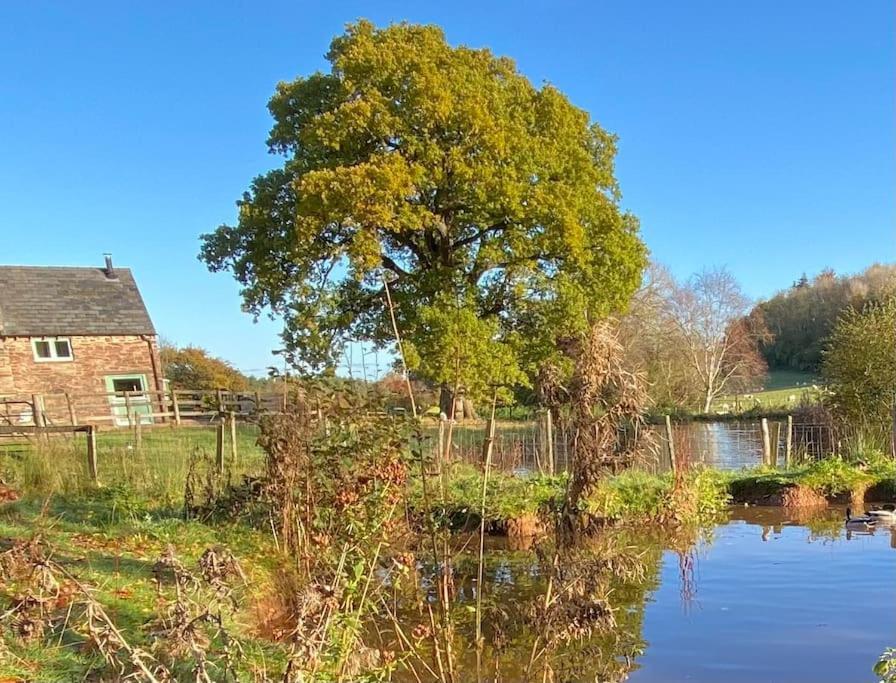 Oaklands Cottage On A Rural Farm Dingestow Kültér fotó